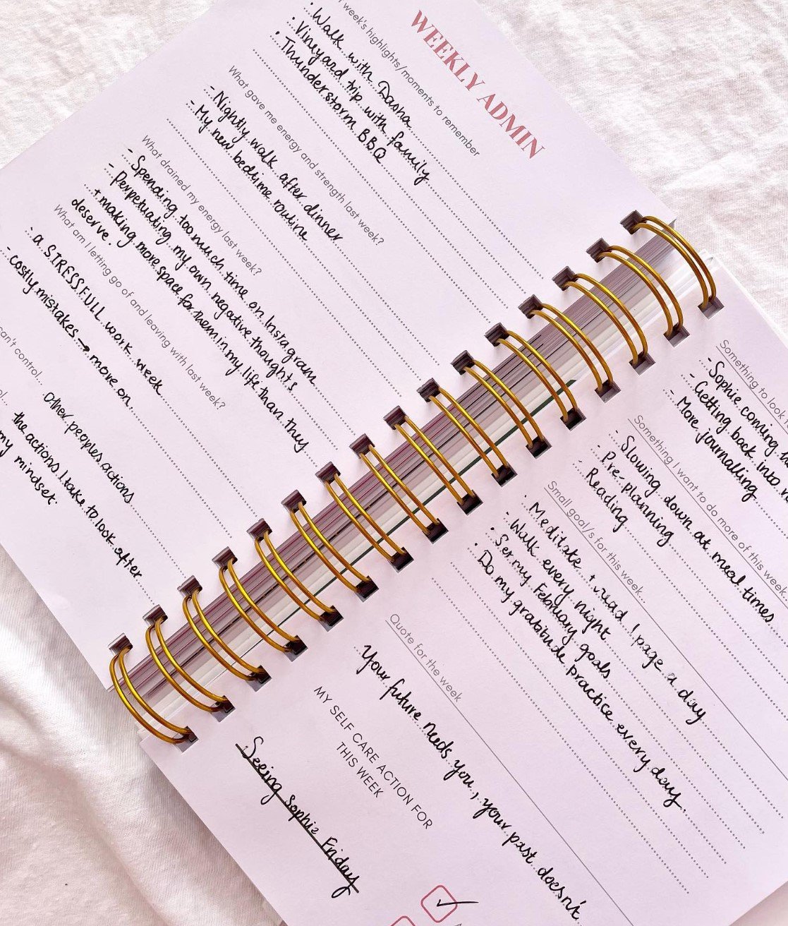 Floss Journal pages and routine tiles preview